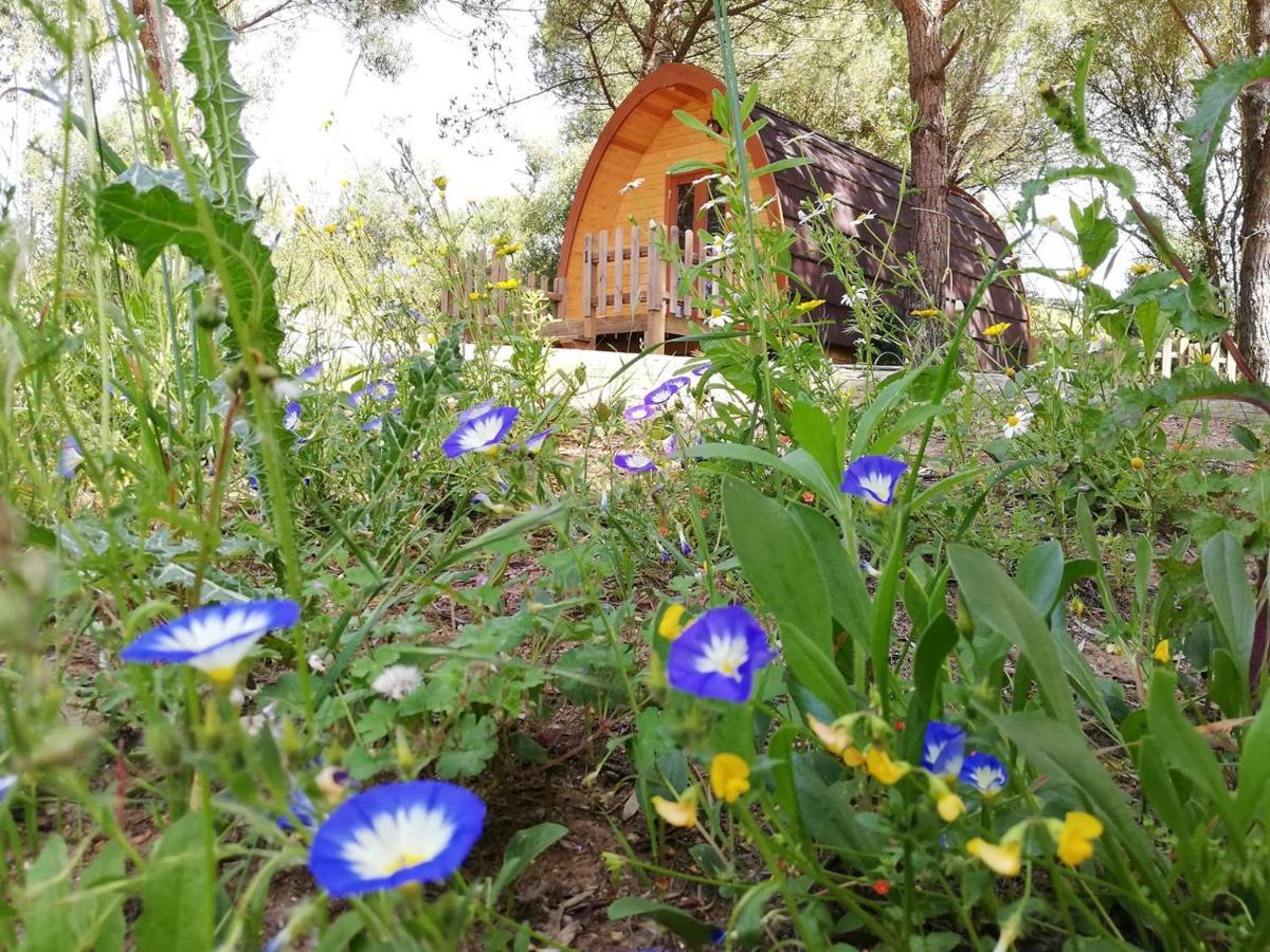 Glamping Sintra Hotel Kültér fotó