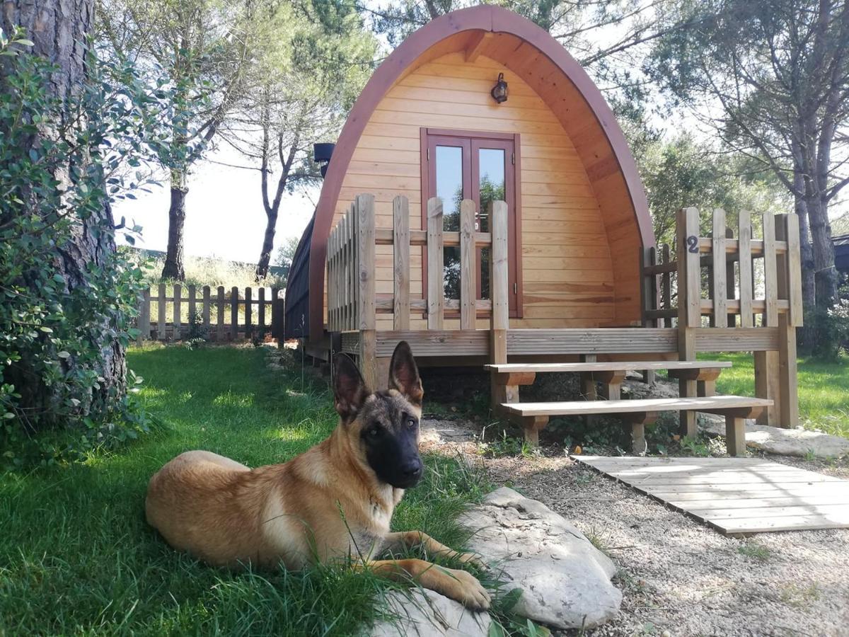 Glamping Sintra Hotel Kültér fotó