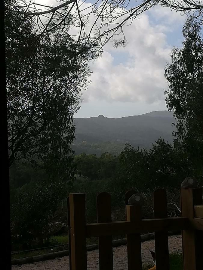 Glamping Sintra Hotel Kültér fotó